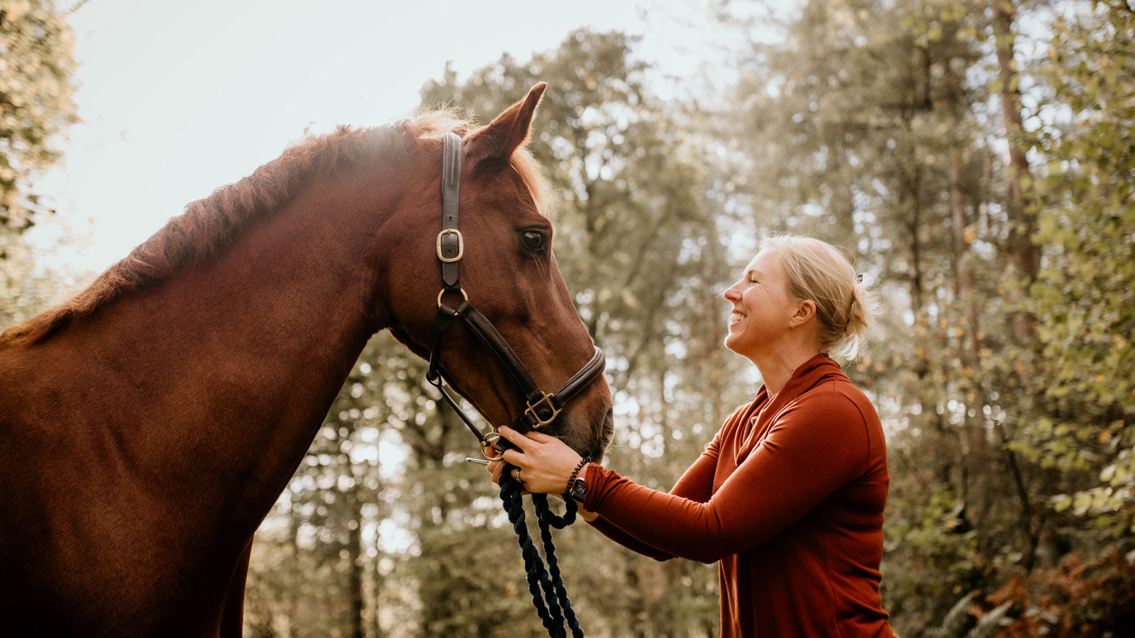 Equine sweatshirts discount