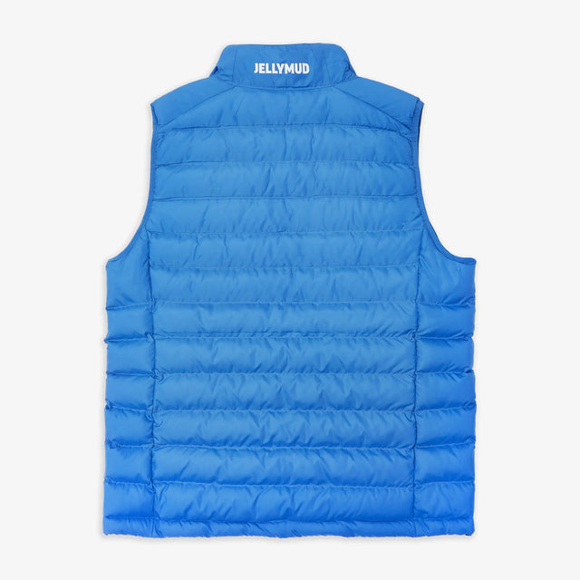 Women's Recycled Polyester Ascend Gilet